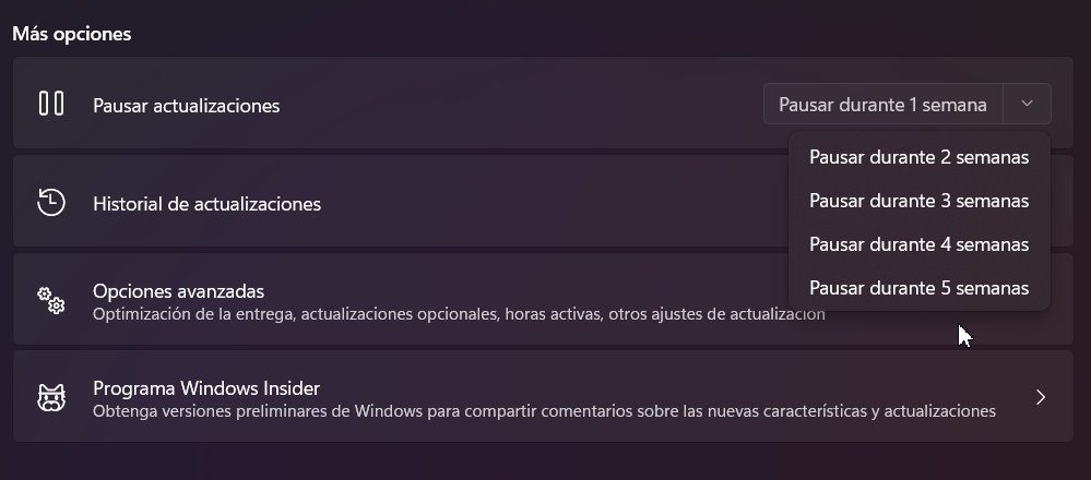 Delay Windows 11 23H2
