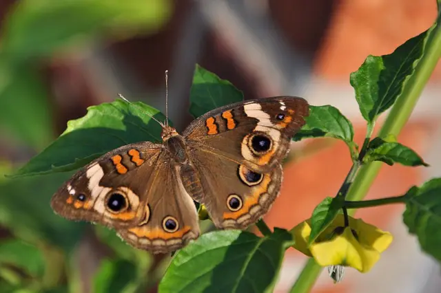 It was confirmed that these moths react accordingly