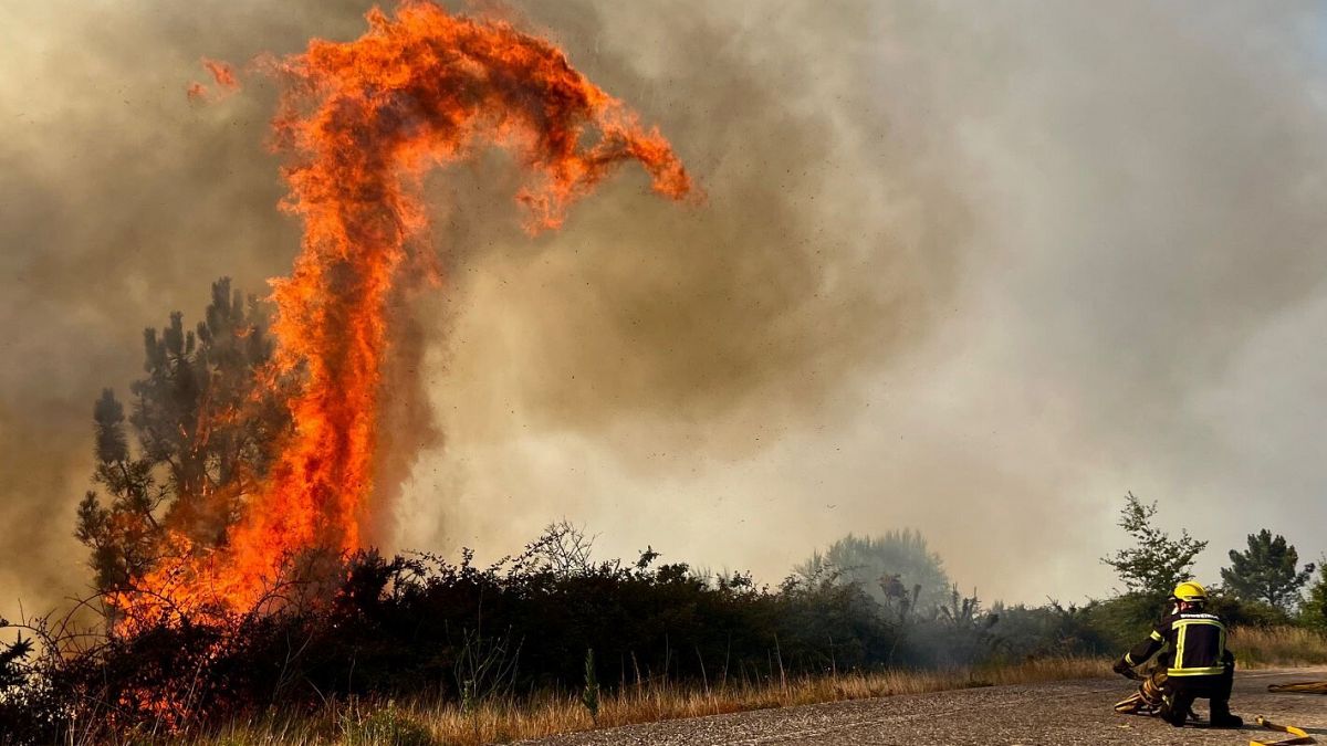 This is a direct cause of climate change.