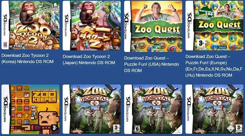 DS emulator
