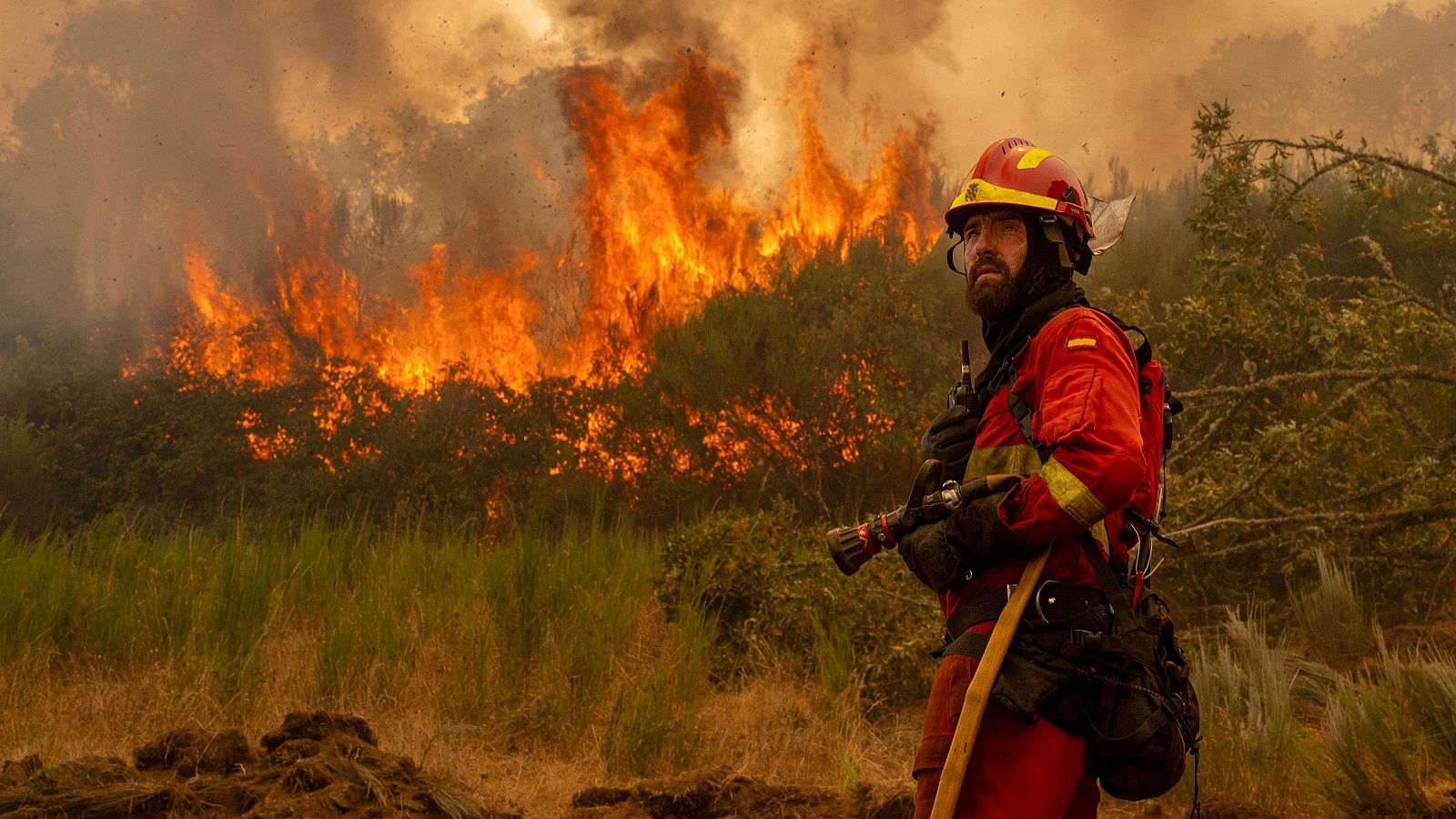 Fire risk increased 40% in the world.