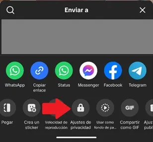 TikTok Privacy