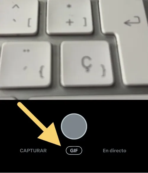 twitter gif selector