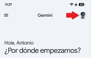 Gemini Menu