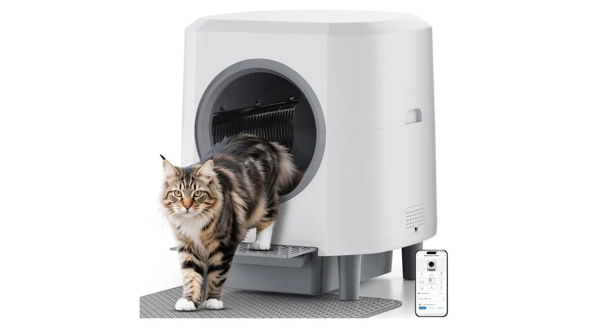 cat litter box