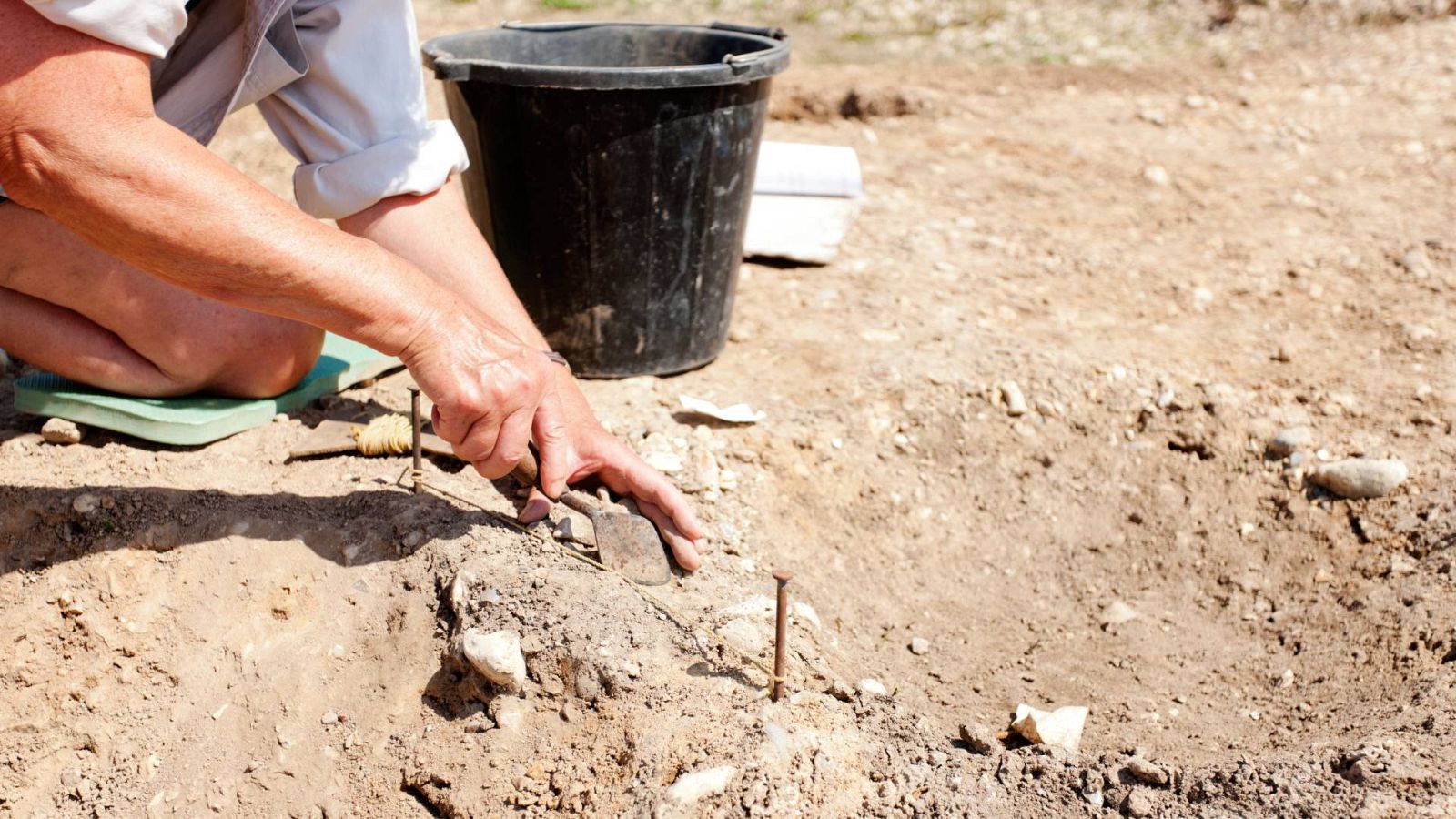 The discovery occurred in Burgos.