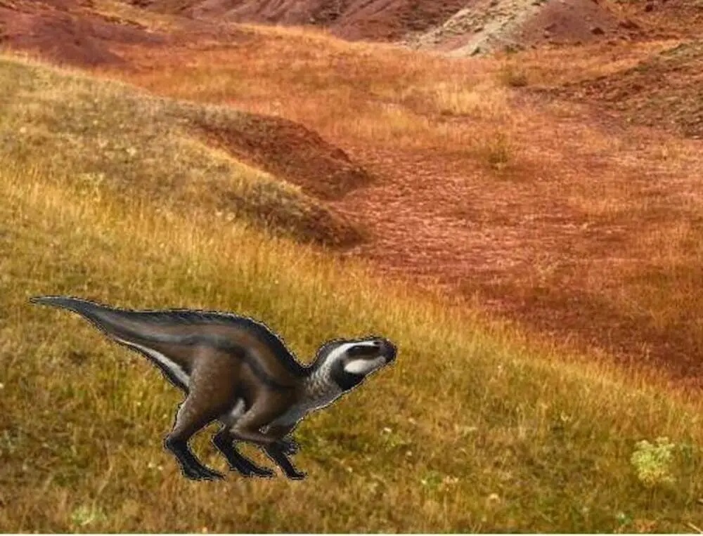 The smallest dinosaur in the world measured less than 30 cm.