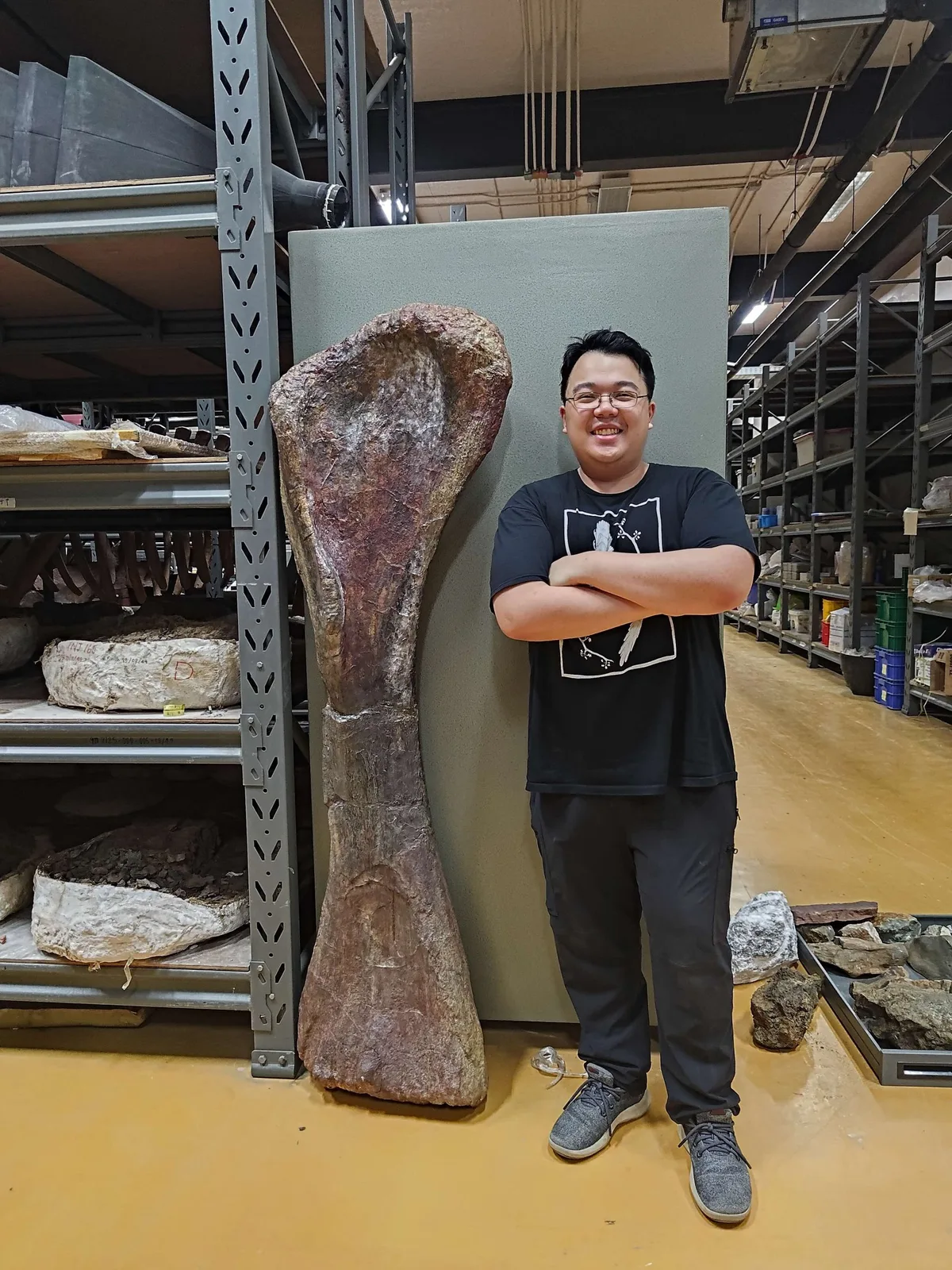 This huge fossil gave the clue.