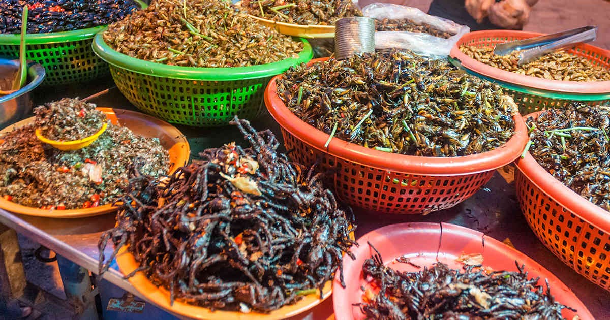 Insects could be part of our regular diet very soon.