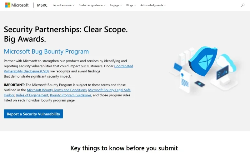 Microsoft bug bounty program