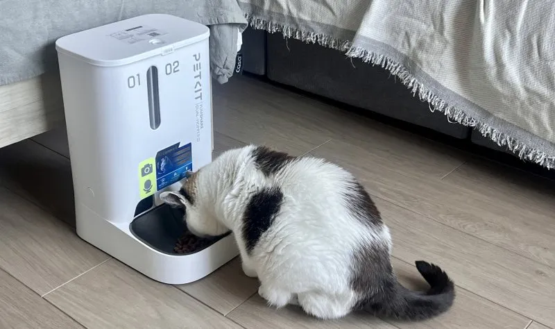 petkit cat