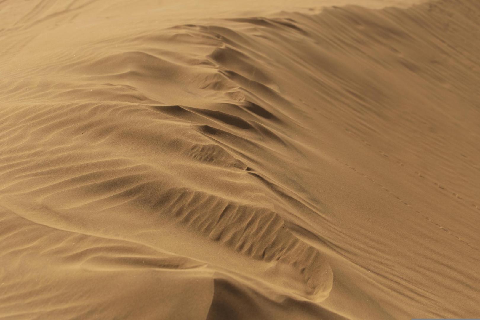 Climate change increases that risk, by desertifying more areas of the world.