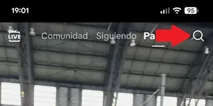 Search video